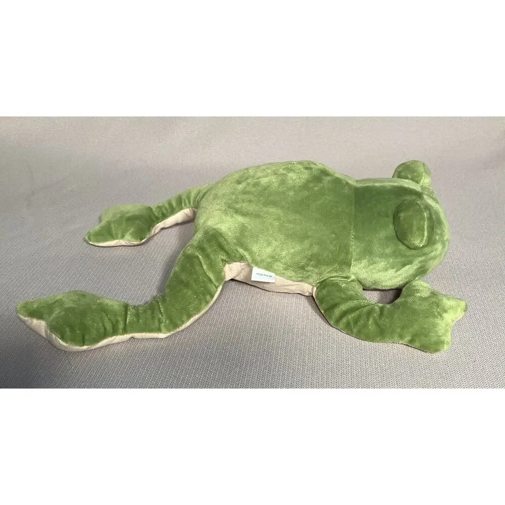 Kiwi Co DISSECTING FROG‎ 16